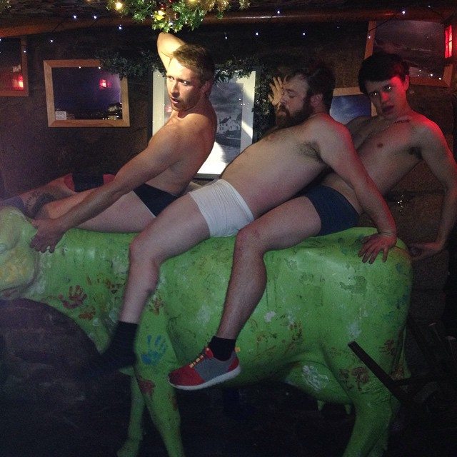 DRUNK-COW-STEALING-2